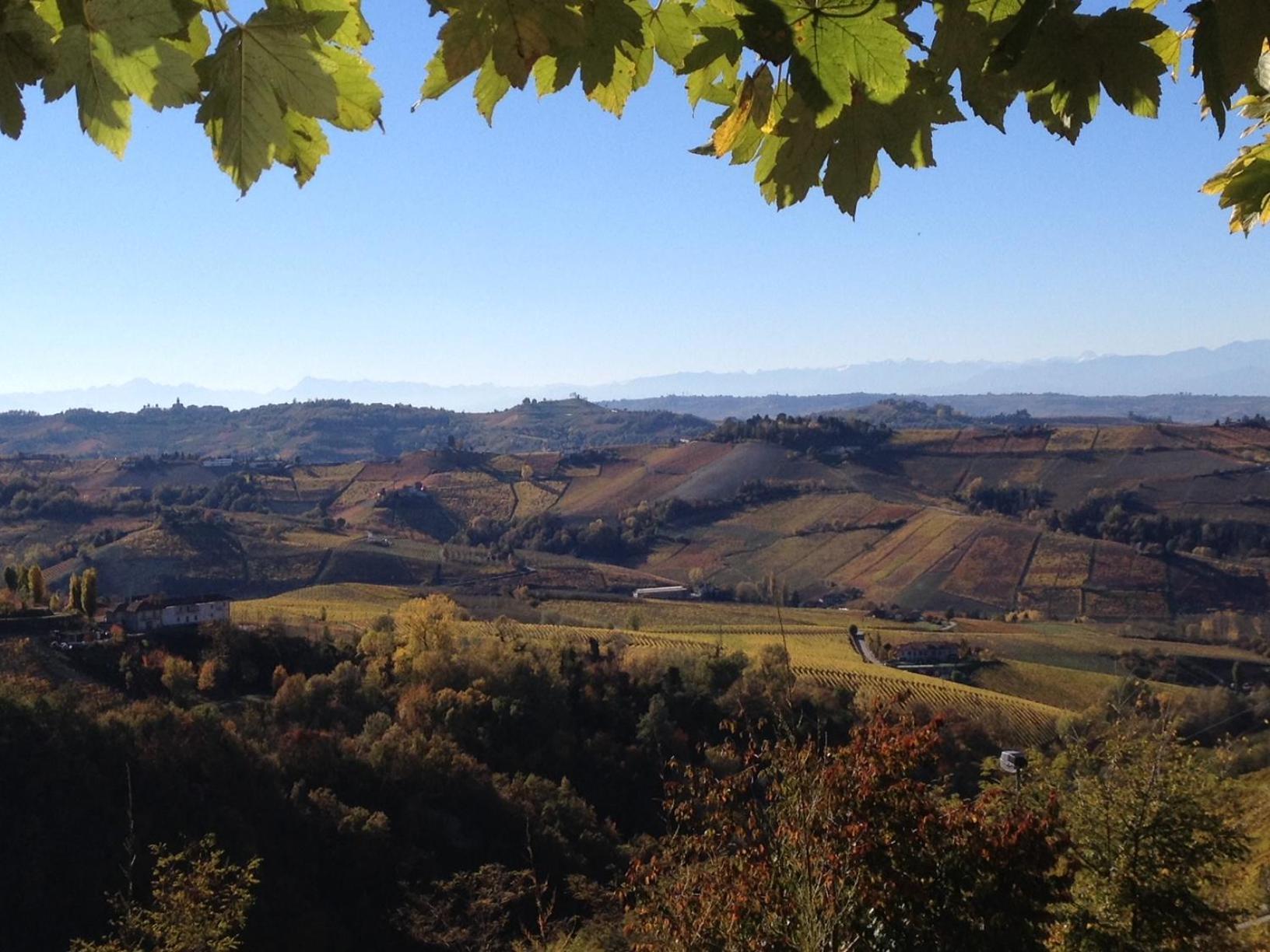 Viasavona46 Nel Cuore Delle Langhe