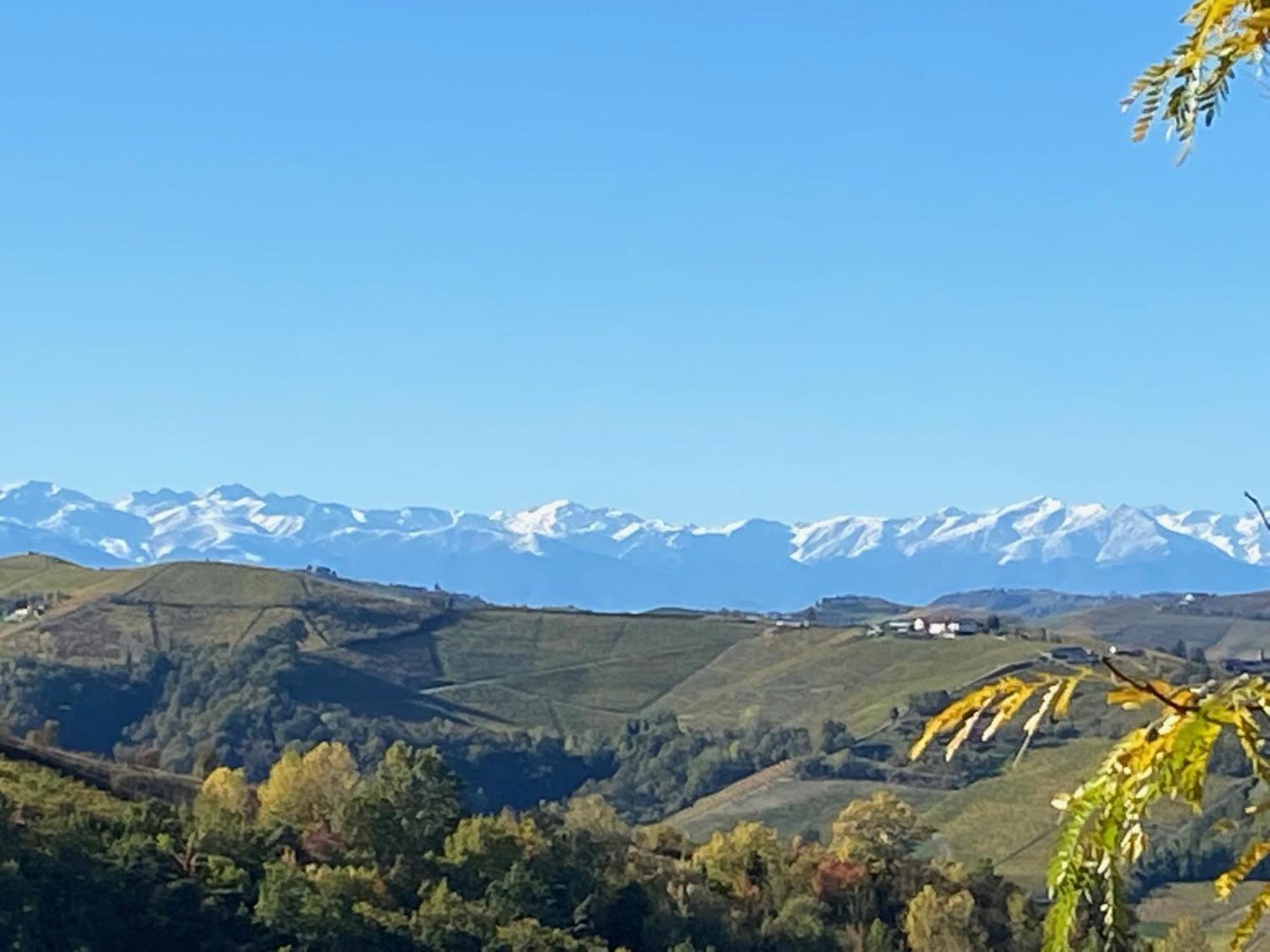 Viasavona46 Nel Cuore Delle Langhe * Treiso